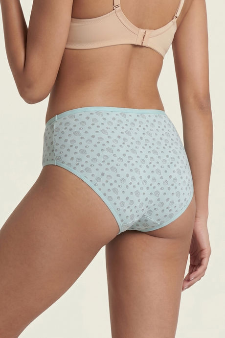 Zivame Medium Rise Full Coverage Hipster Panty (Pack of 3) - Multicolor — image 12